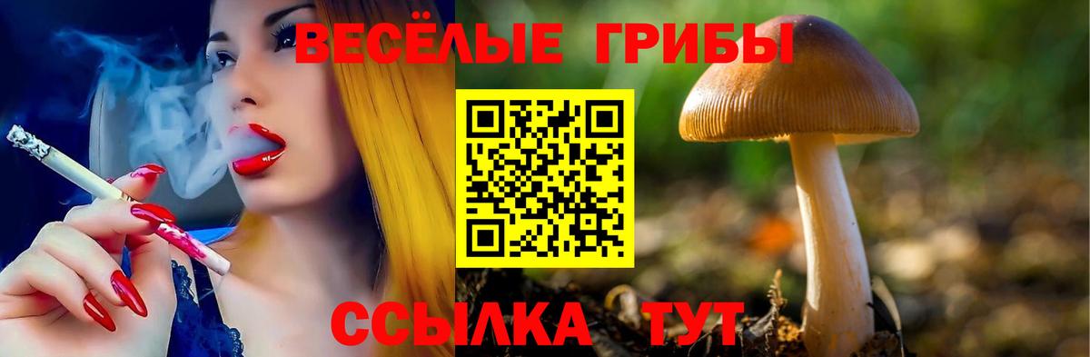 Галлюциногенные грибы ЛСД Вольск