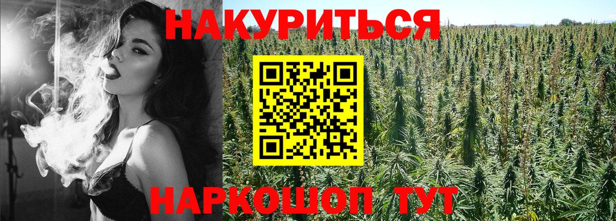 Бошки марихуана Amnesia  Вход с VPN  Вольск  Шишки марихуана ГИДРОПОН 